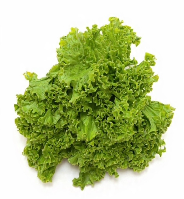 Lechuga Francesa