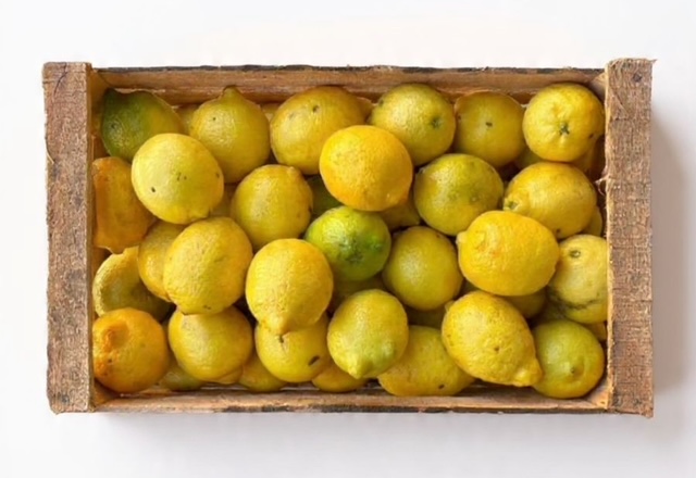Limón