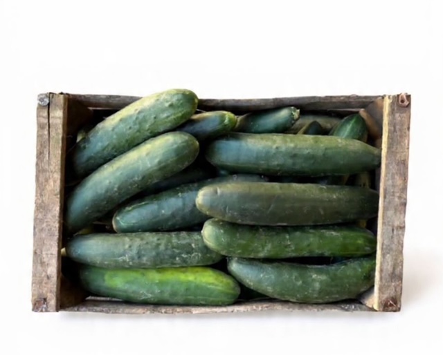 Pepino